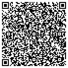 QR code with Public Consulting Group contacts