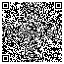 QR code with Prime Towers contacts