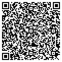 QR code with Modis contacts