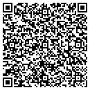 QR code with Blink Development Inc contacts