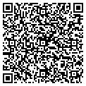QR code with Obsius contacts