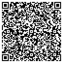 QR code with Pyramid Tutoring contacts