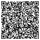 QR code with Blue Samba Solutions LLC contacts