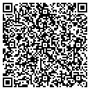 QR code with Carrier Access Corp contacts
