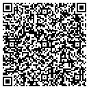 QR code with Bogich Roger D contacts