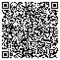 QR code with Phdave contacts