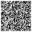 QR code with Catalyst It Service contacts