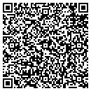 QR code with Processvelocity Llp contacts