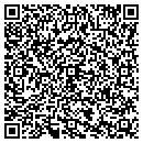 QR code with Professional Tutoring contacts