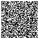 QR code with Pulse Imaging contacts
