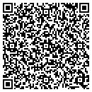 QR code with Public Storage contacts