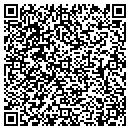 QR code with Project One contacts