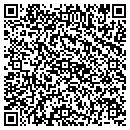QR code with Streich Lisa M contacts