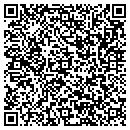 QR code with Professional Tutoring contacts