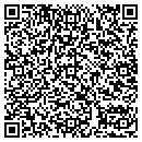 QR code with Pt Works contacts