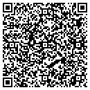 QR code with Pt Works contacts