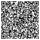 QR code with Carter Jeffrey D DC contacts