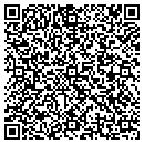 QR code with Dse Investment Corp contacts