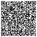 QR code with Cyber Switching Inc contacts
