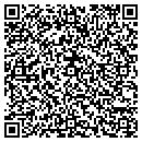 QR code with Pt Solutions contacts