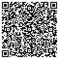QR code with Gigi's contacts