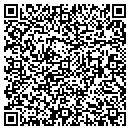 QR code with Pumps Plus contacts