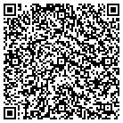 QR code with Pulver & Pulver Inc contacts