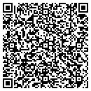 QR code with Professional Electric contacts