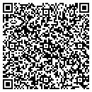 QR code with Public Storage contacts