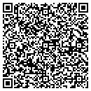 QR code with Bmr Chiropractic Pllc contacts