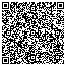 QR code with Carter Electric Co contacts