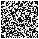 QR code with Public Works contacts