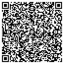 QR code with Pylant Electric CO contacts