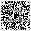 QR code with Public Works contacts