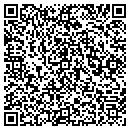 QR code with Primary Electric Inc contacts