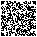 QR code with Pulaski County Jail contacts