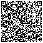 QR code with Bluestone Productions contacts