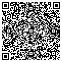 QR code with Cini Electric contacts
