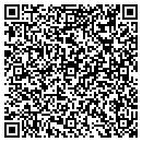 QR code with Pulse Electric contacts