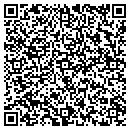 QR code with Pyramid Electric contacts