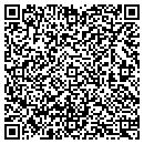 QR code with Bluelectric Hawaii LLC contacts