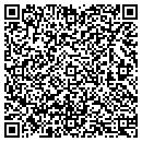 QR code with Bluelectric Hawaii LLC contacts