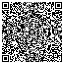 QR code with Puma Emily L contacts