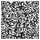 QR code with Purtzer Aaron C contacts