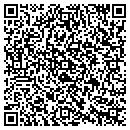 QR code with Puna Electric Service contacts