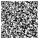 QR code with Puna Electric Service contacts