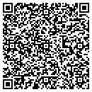 QR code with Stein Anita M contacts