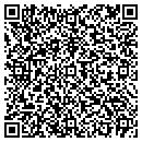 QR code with Ptaa Southern Academy contacts