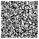 QR code with Pulau Electronics Corp contacts