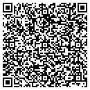 QR code with Prechel Mary A contacts